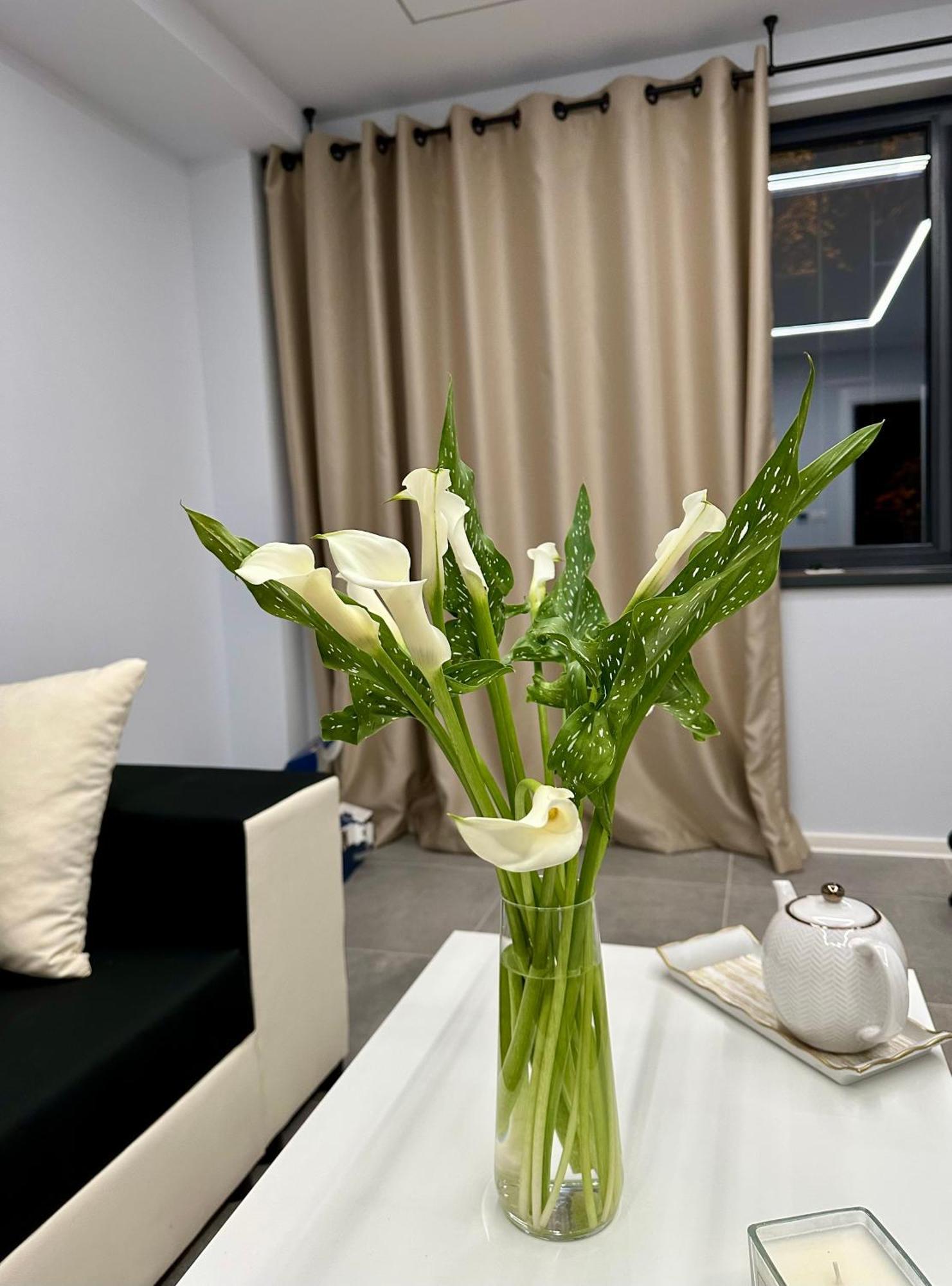 Ppu Home Temesvár Kültér fotó