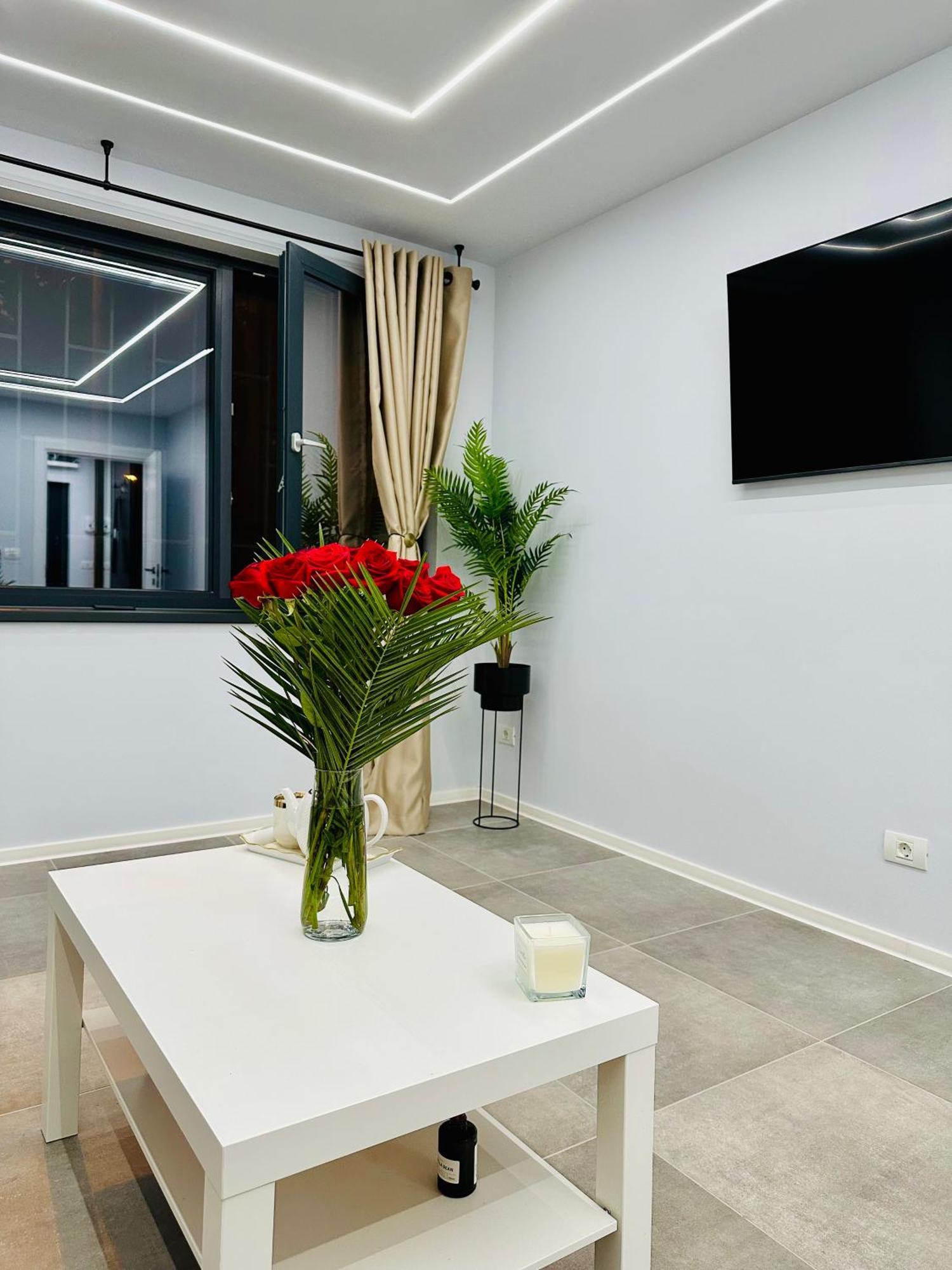 Ppu Home Temesvár Kültér fotó